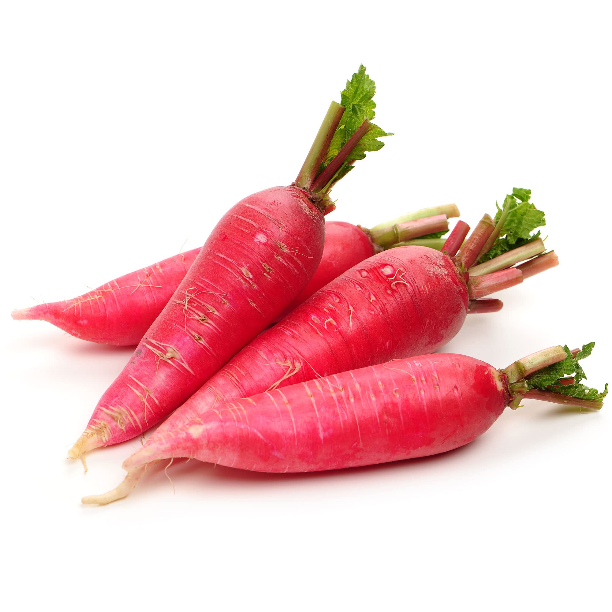 Amazon.com : Radish Seeds - Chinese - Shunkyo - 4 Oz ~12720 Seeds